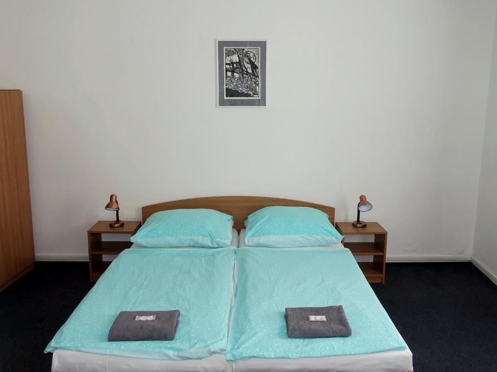 HOTEL STAŘÍČ photo 2
