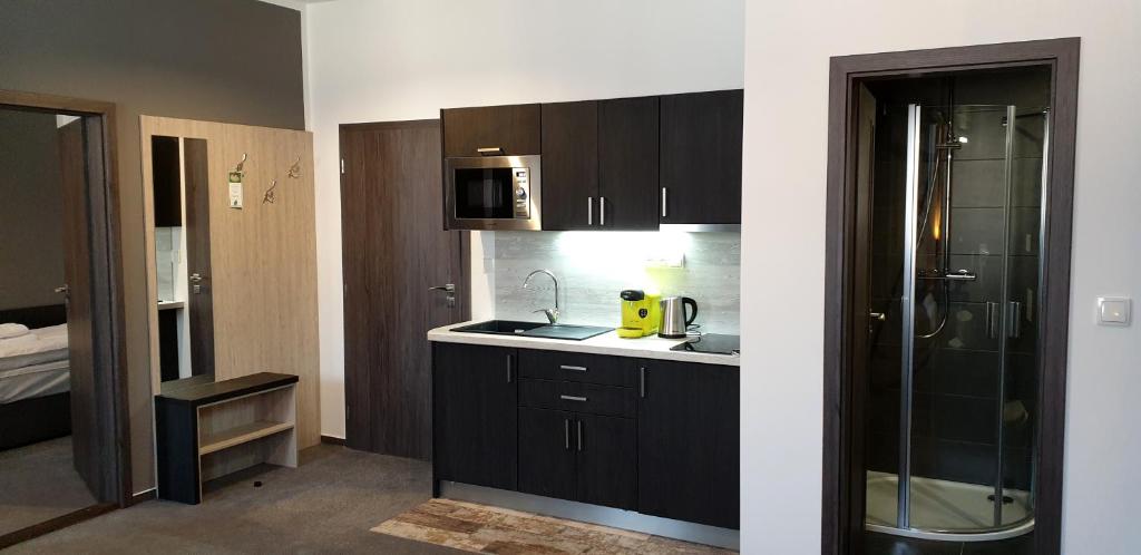 Třeboňské Apartmány photo 3