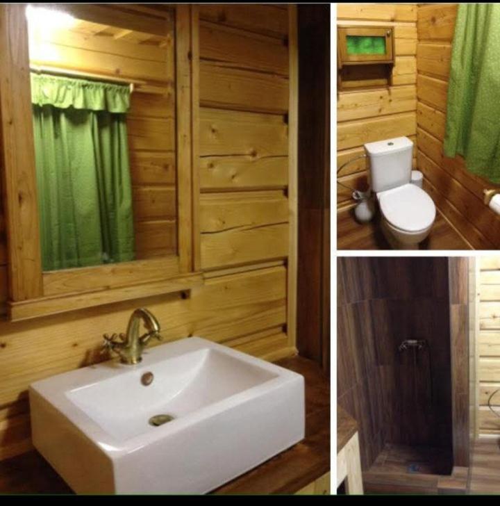 Roubenka Pod Lesem photo 3