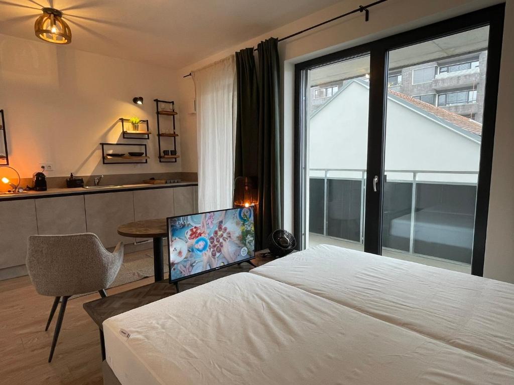 Theatre Brno Apartments photo 2