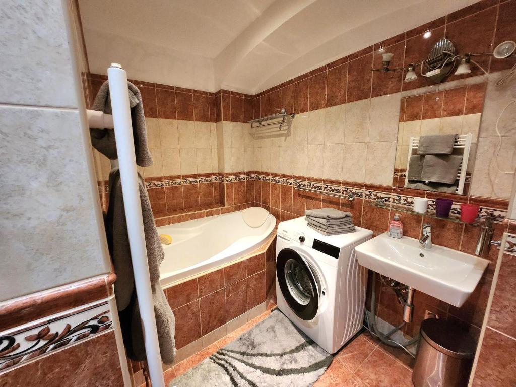SMÍCHOV Riverfront Apartment Prague 5 photo 3