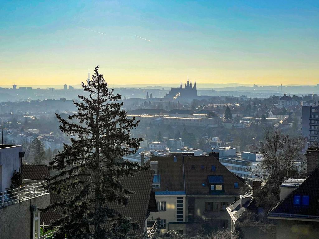 View of Prague photo 3
