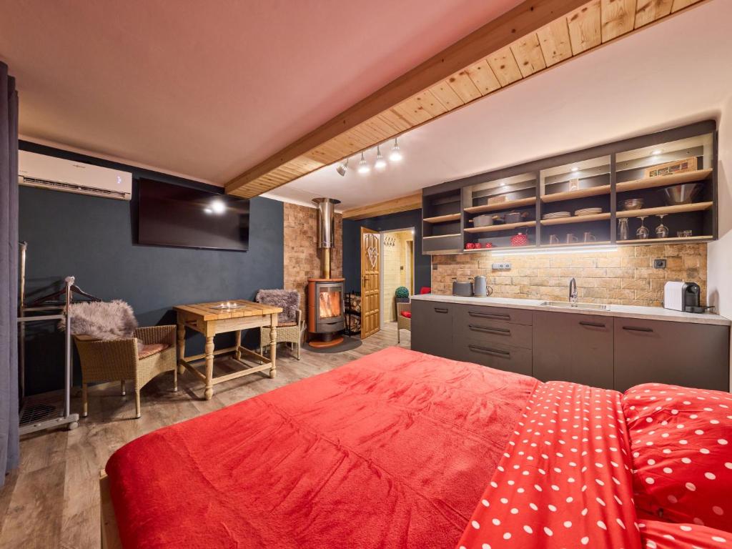 Studio Lesní plovárna by Interhome — photo 1