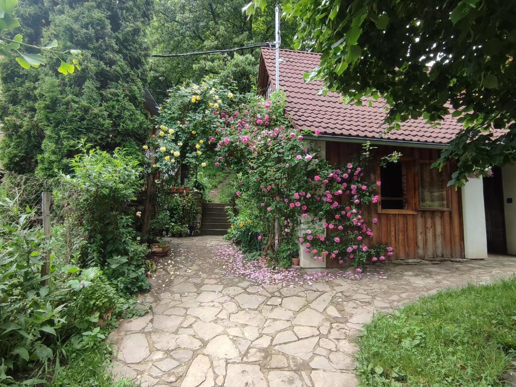 Stodola Svatý Štěpán — photo 1