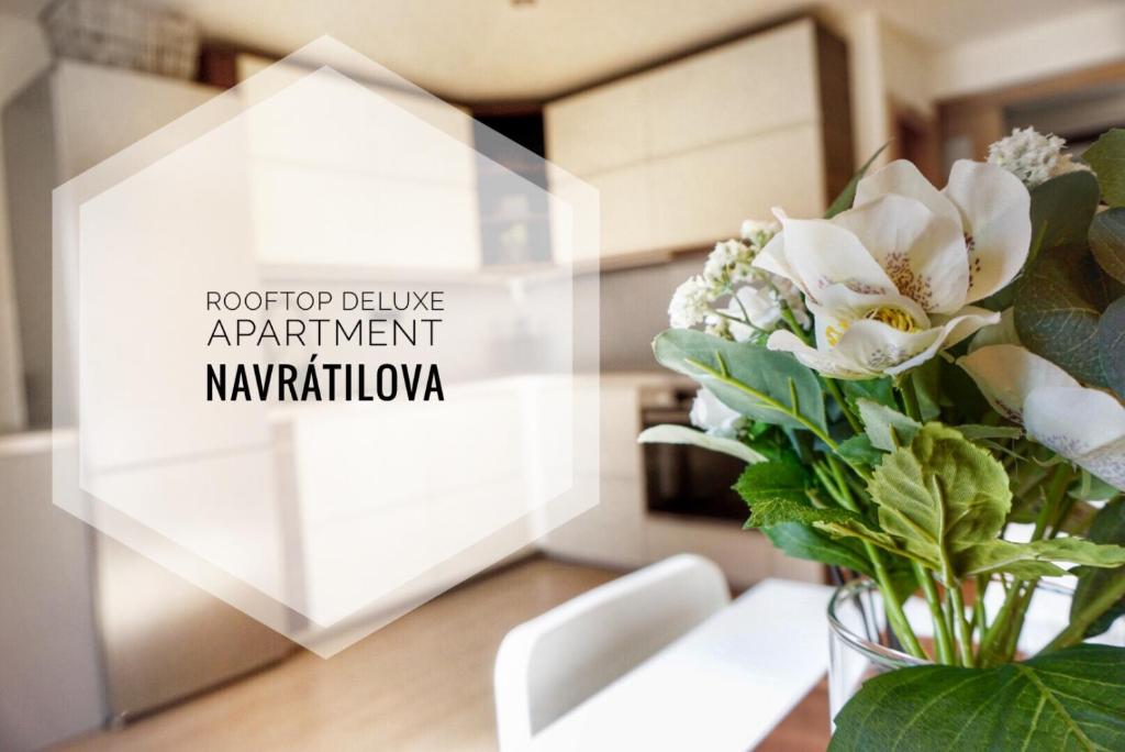 Rooftop Deluxe apartment — photo 1