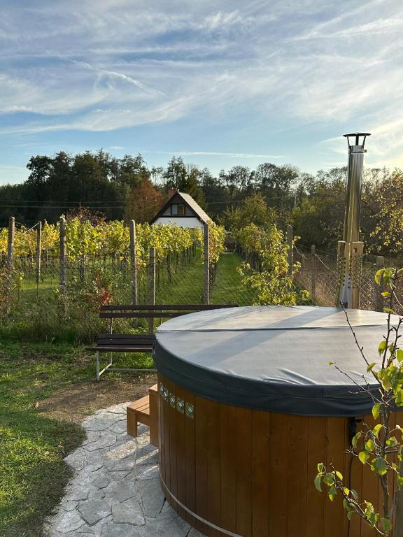 Wine & Relax Mezi Sklepy — photo 1