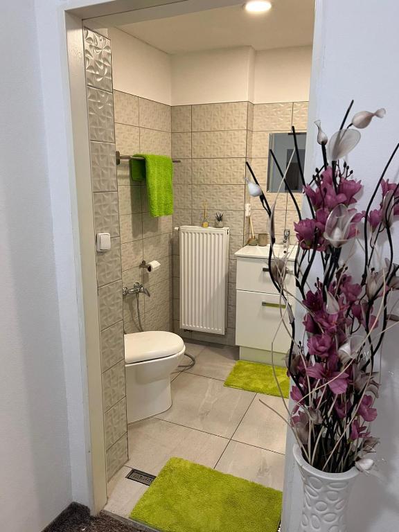 Thermal Apartments photo 3