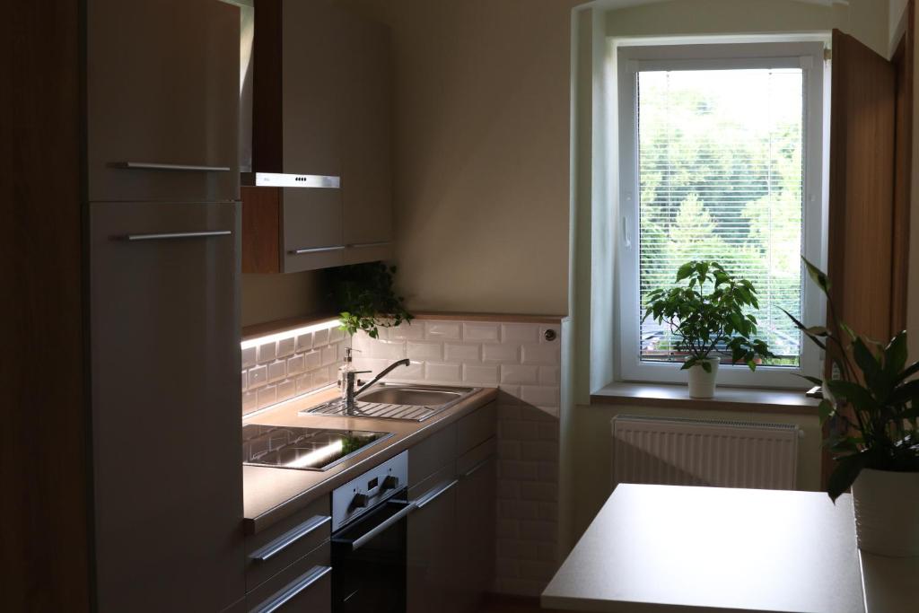 SLO. Apartments photo 3