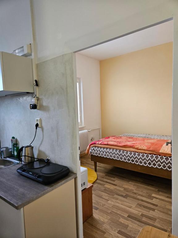 Tererka apartment photo 2