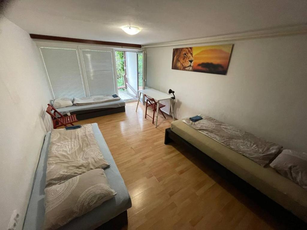 ROOMS Vystaviste BVV photo 2
