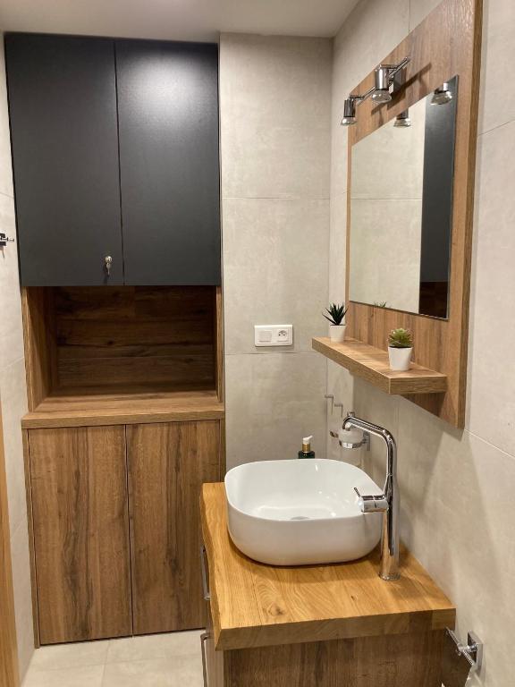Ski&Bike Apartmán Nicol - Janské Lázně photo 3