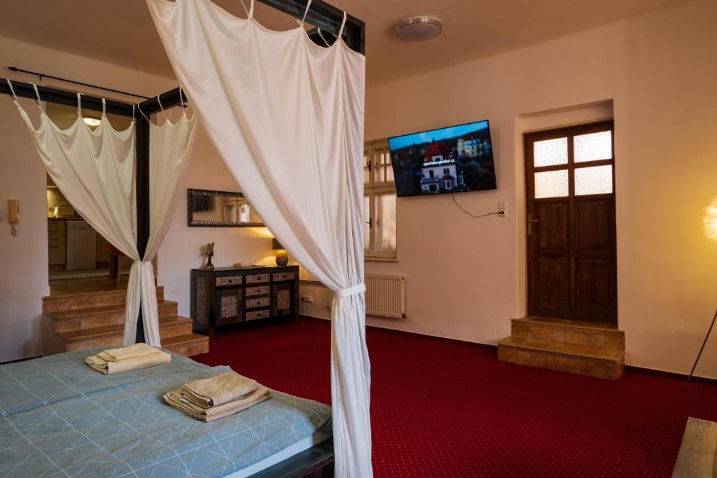 Apartmán Staré Město photo 3