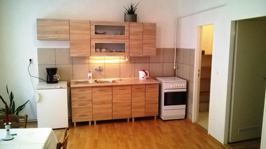 Skromný apartmán v centru Chebu photo 3