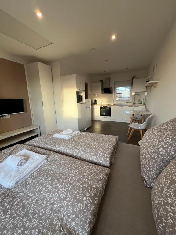 RK Apartment Holzova photo 2