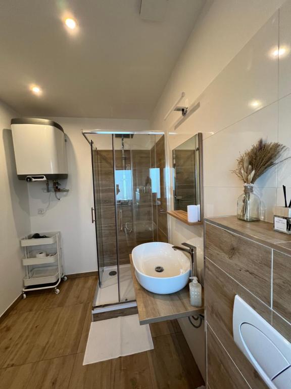 RK Apartment Holzova photo 3