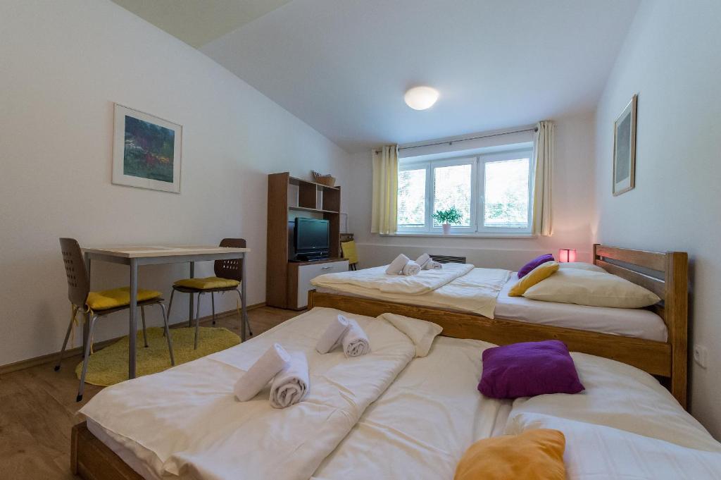 Apartmán Lipno 20 photo 2