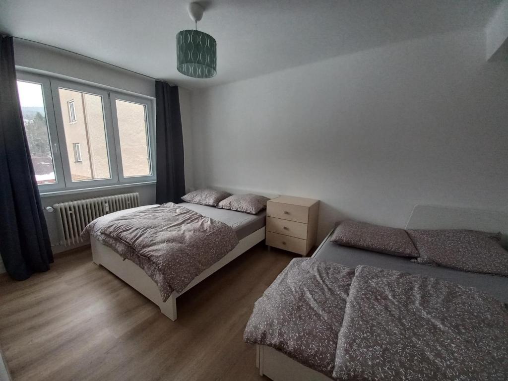 Zlatá Olešnice photo 2