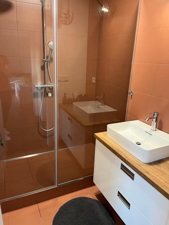 Rodinný apartmán Bratrouchov photo 3