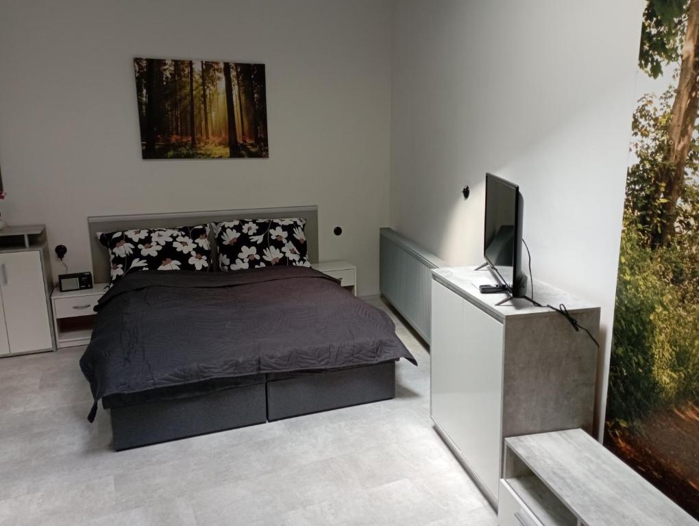 Soukromý apartmán Deluxe photo 2