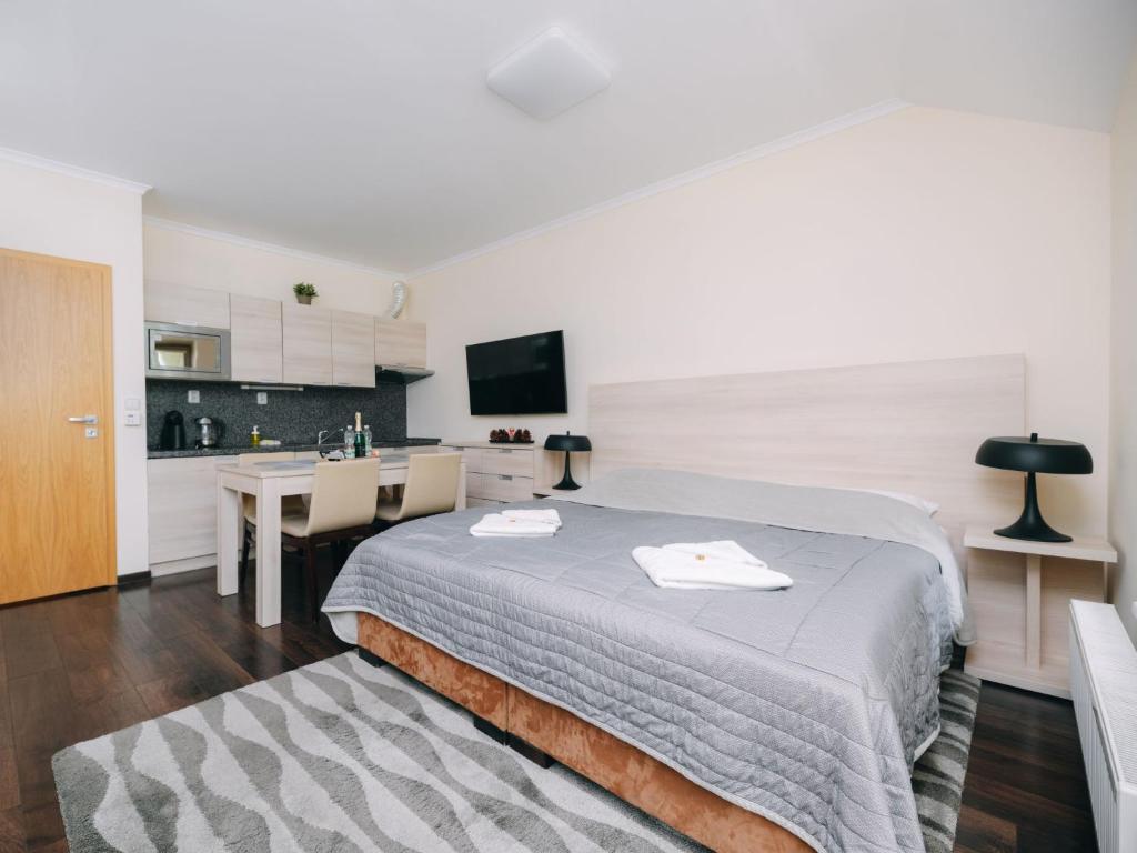 Studio Harrachov Resident-3 by Interhome photo 3