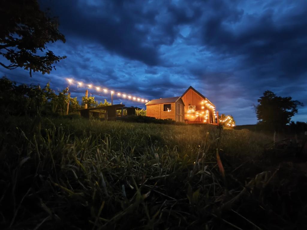 Tiny house Pálava — photo 1