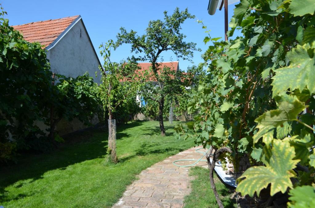 Rodinný dům Mikulov — photo 1