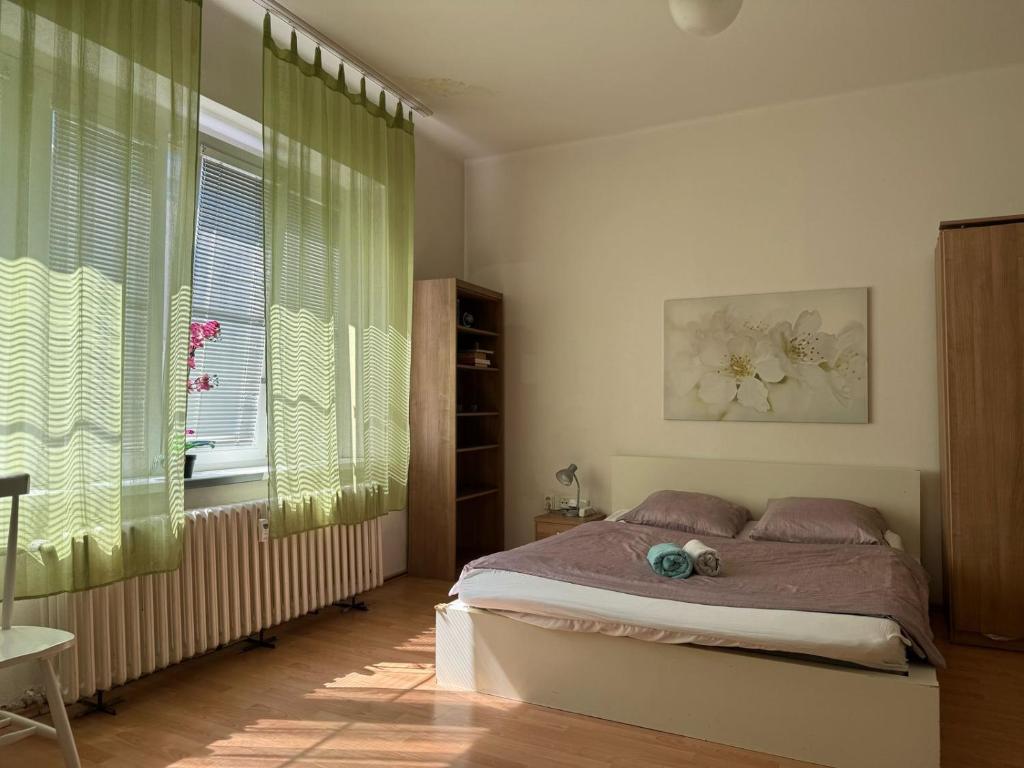 Rooms in the Center of Old Town photo 2