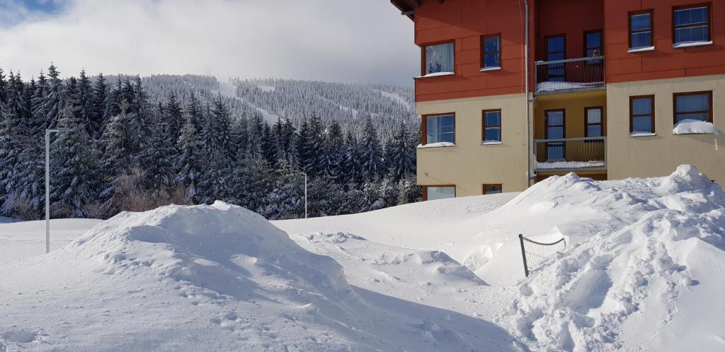 Ski & Bike apartmán Klínovec — photo 1