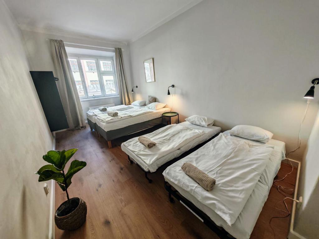Flat in Zizkov -102- photo 2