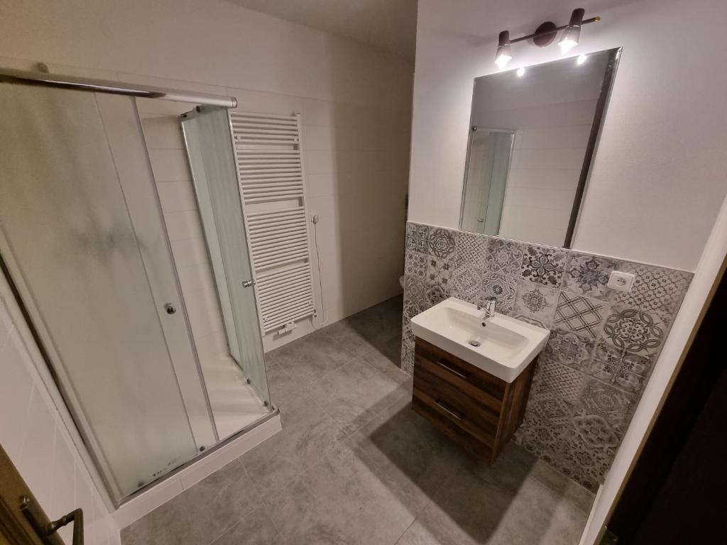 RfP 2026 - Velké studio na Velkém náměstí s vybavenou kuchyní photo 3