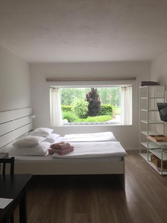 Studiový apartmán V Zahradě photo 2