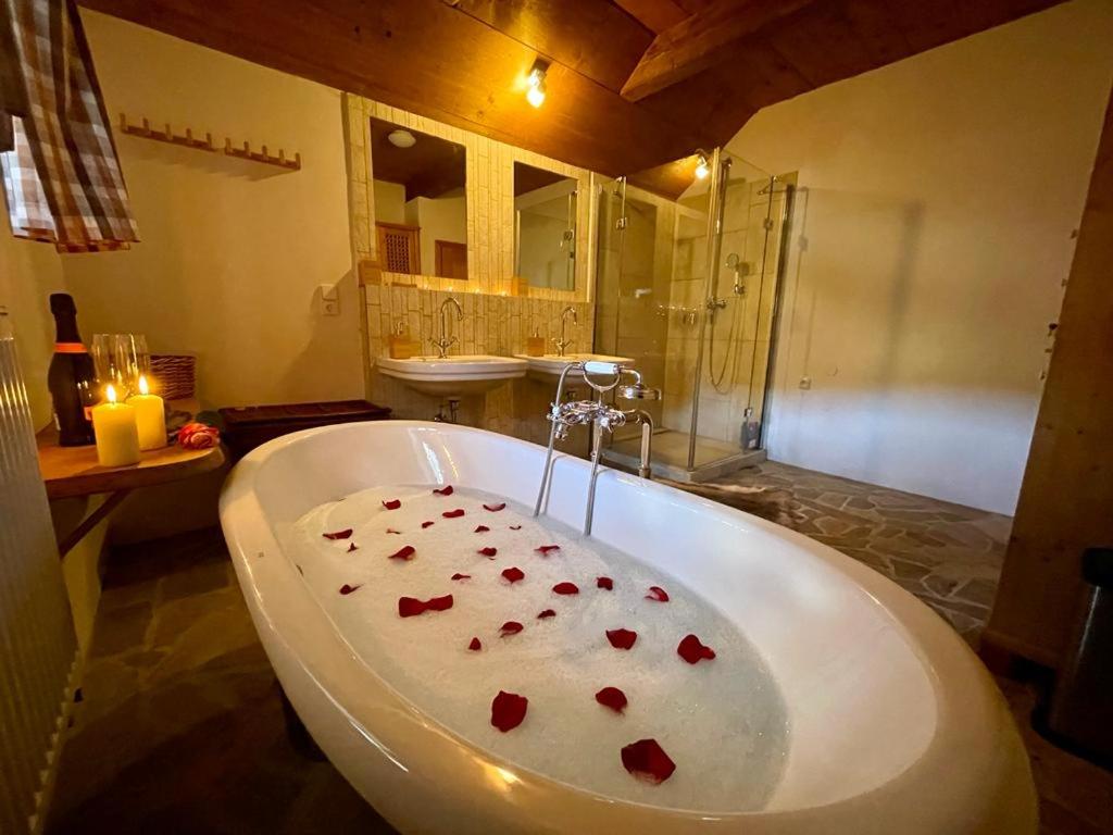 SPA SPA - Roubenka photo 3