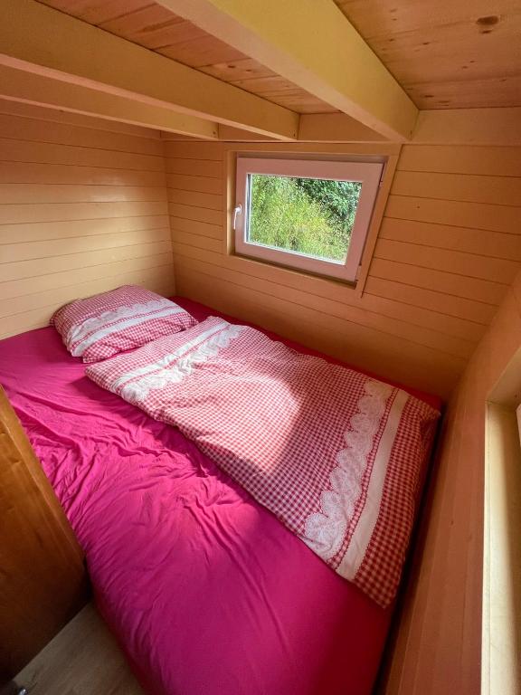 Tiny house Horní Planá photo 2
