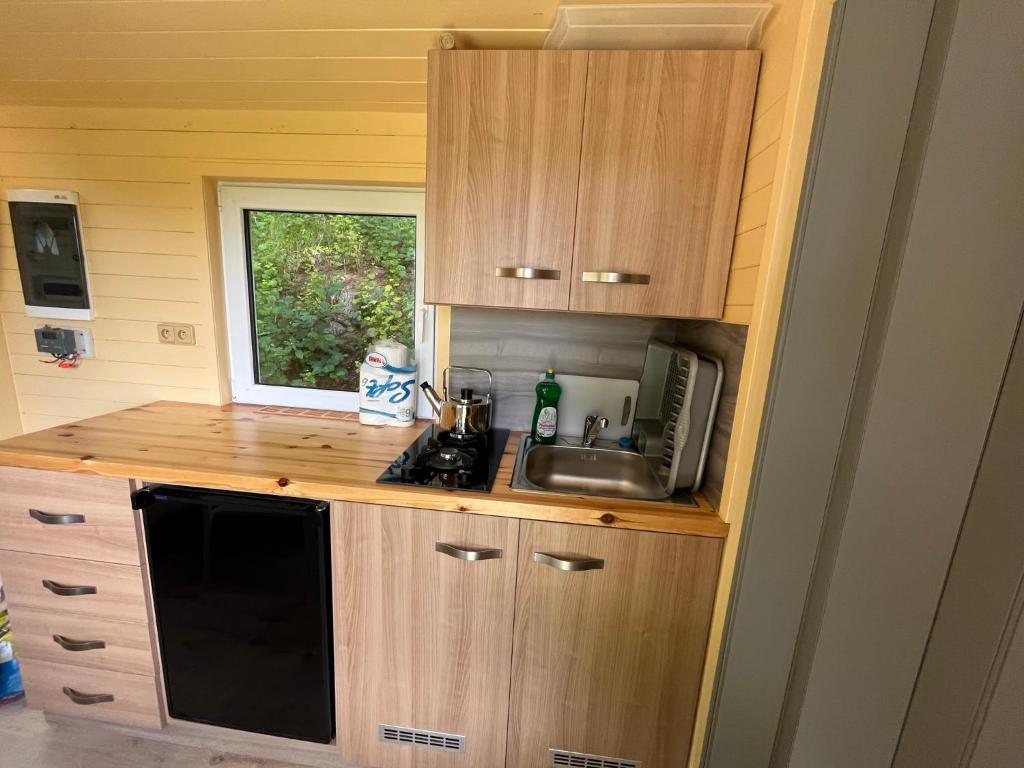 Tiny house Horní Planá photo 3