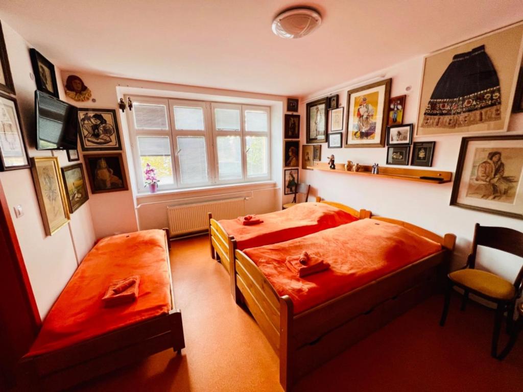 Malý penzion U Meruňky photo 2