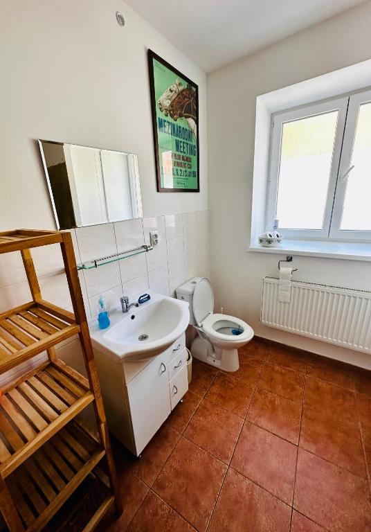 Malý penzion U Meruňky photo 3