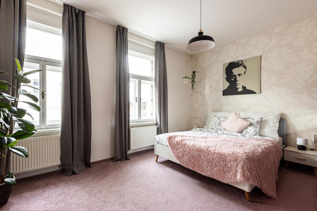 Nice big apartment 2bds - Belgicka — photo 1