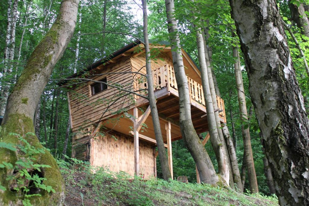 Treehouse Velké Losiny photo 3