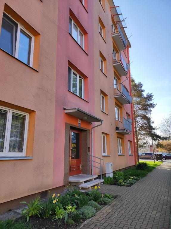Jamajka na Vinohradské — photo 1