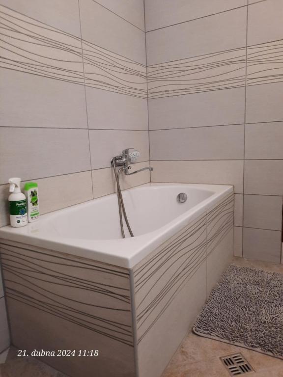 Skromný apartmán v centru Chebu photo 3