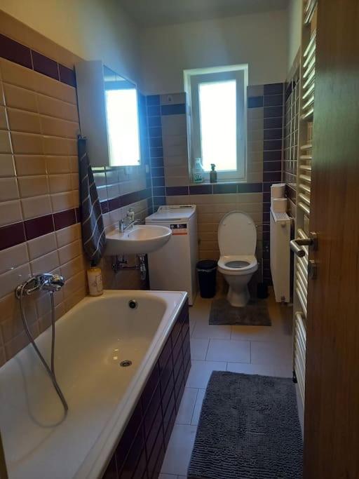 Zastávka v lázeňském trojúhelníku apartmán 4 photo 3