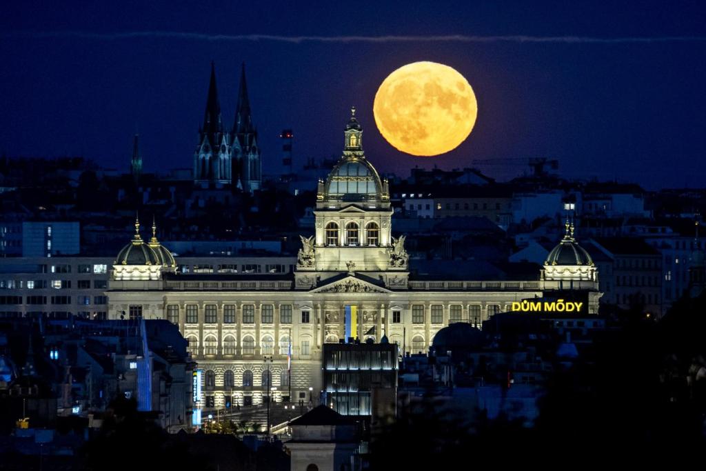 Valentina Apartments photo 2