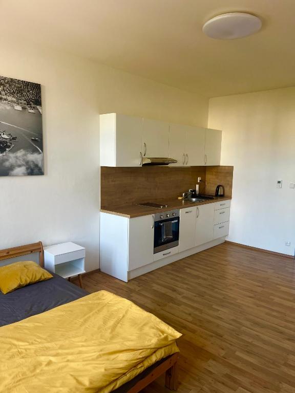 Cozy apartment in Brno city center photo 3
