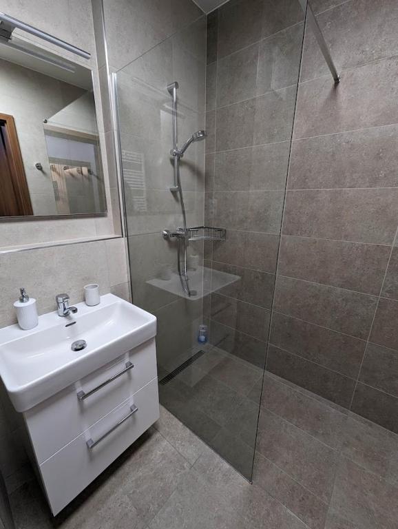 Zadov - Apartmán Srdce Šumavy photo 3