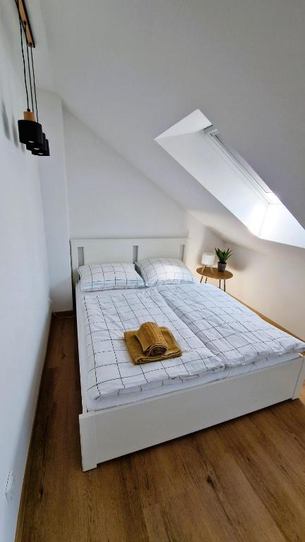 Studio Pasáž photo 2