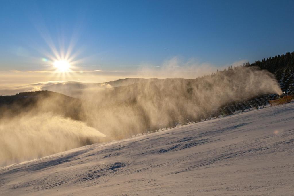 Apartmány D u sjezdovky - Horní Mísečky photo 2