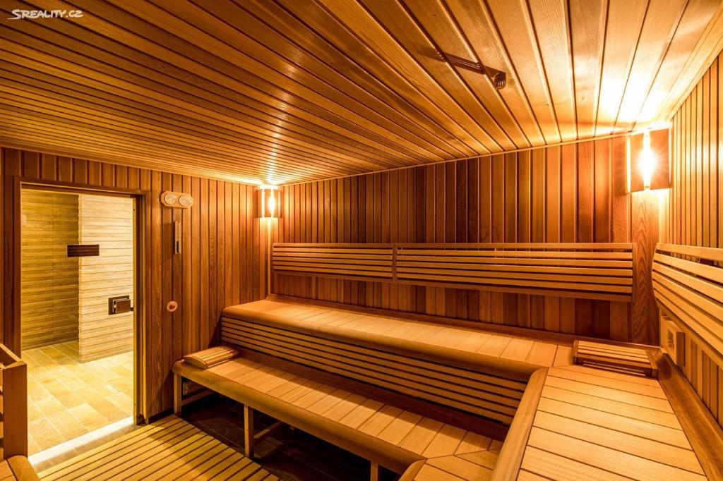 SPA Apartment Moser photo 3