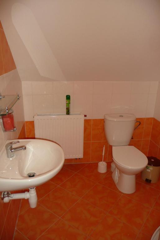 Statek Chmelovice photo 3