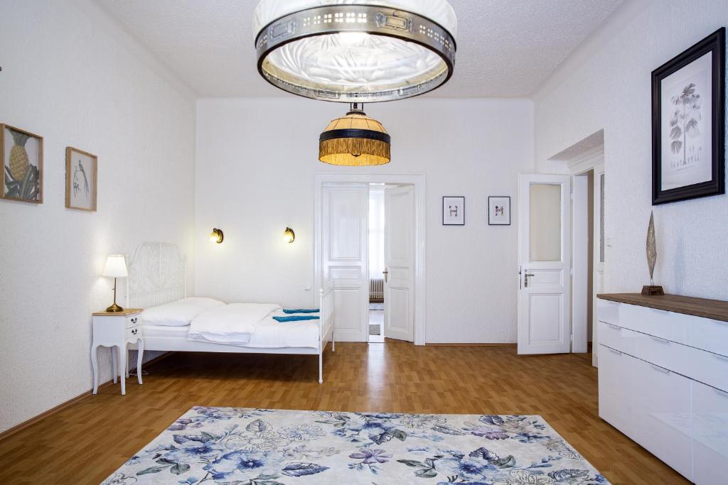 Large 3 BDR APT in the heart of Prague photo 2