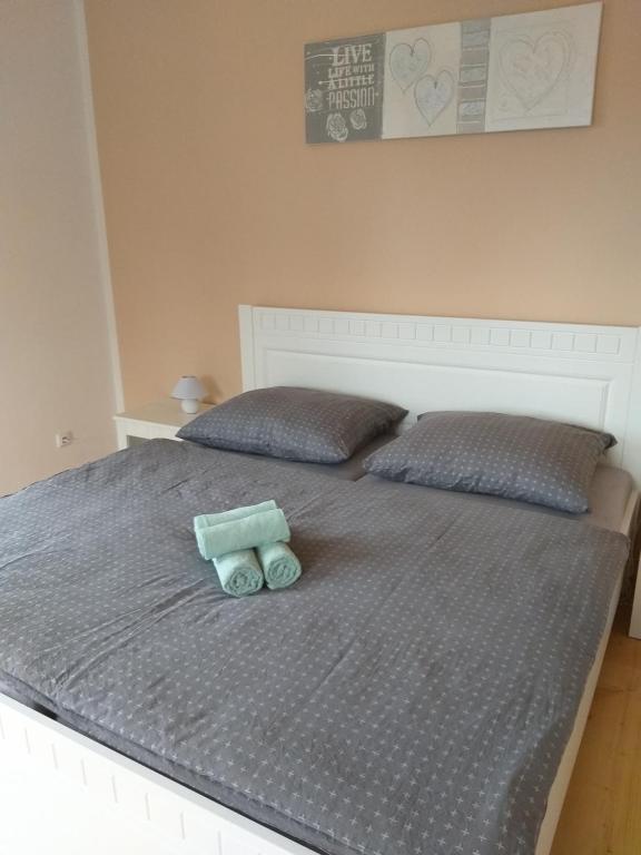 Zámecký apartmán v Horní Plané — photo 1